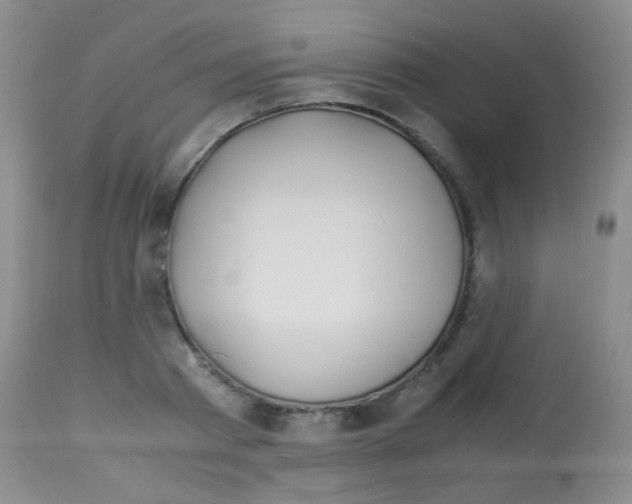 X0000113090793200910091256