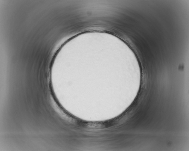 X0000113090795200910091256