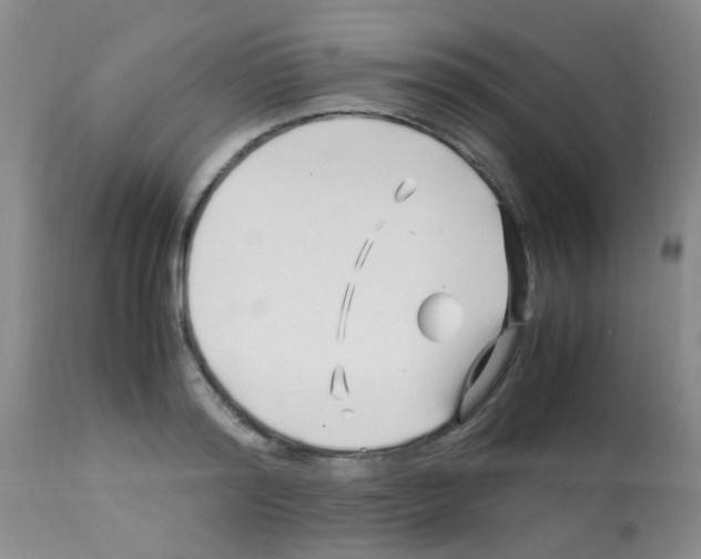 X0000113090796200910091256