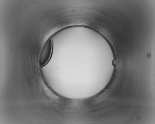 X0000113090797200910091256