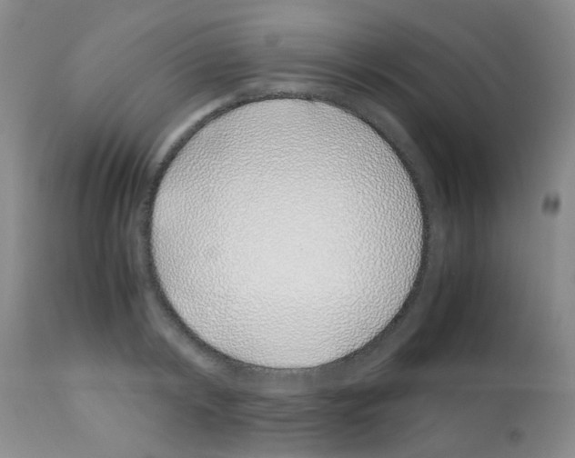 X0000113090798200910091256