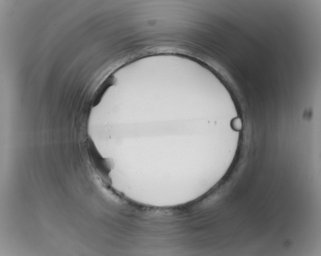 X0000113090801200910091256