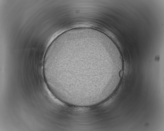 X0000113090802200910091256