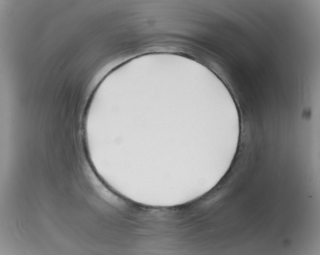 X0000113090803200910091256