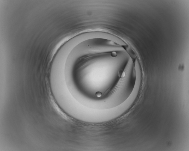 X0000113090805200910091256