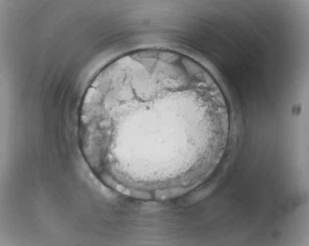 X0000113090807200910091256