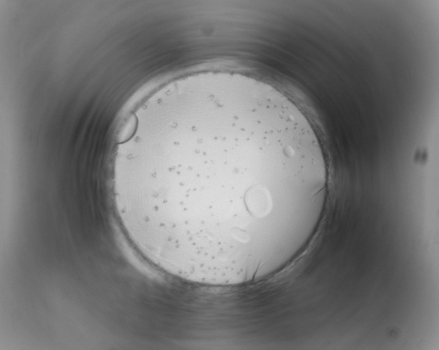 X0000113090808200910091256