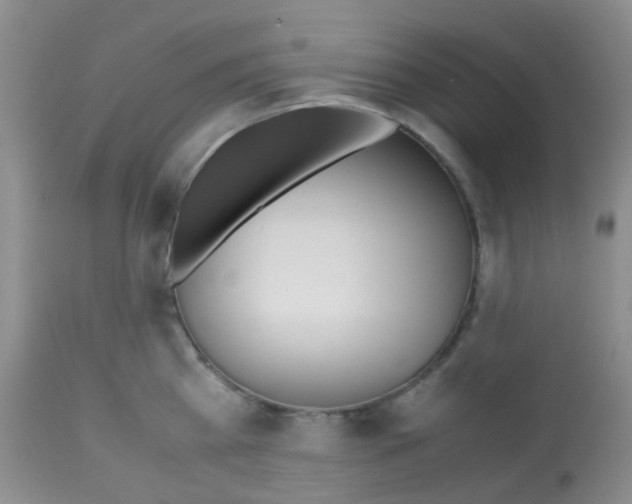 X0000113090809200910091256