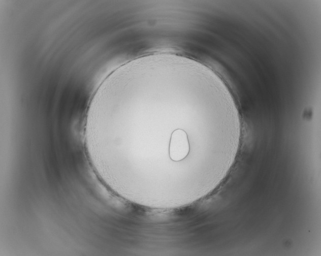 X0000113090810200910091256