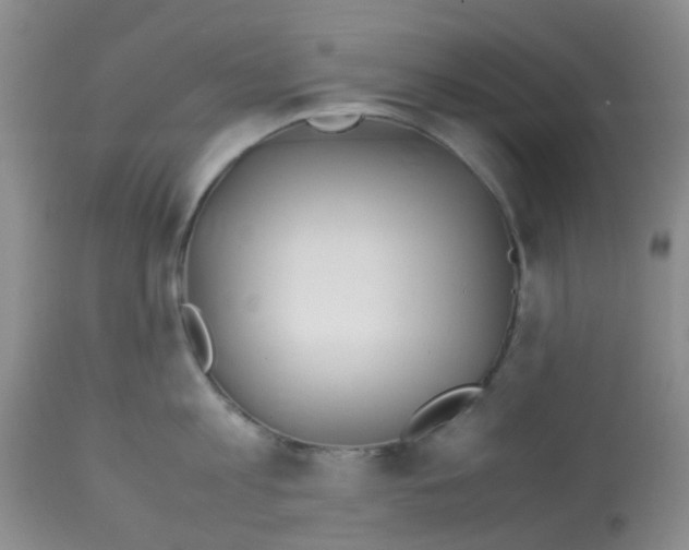 X0000113090813200910091256