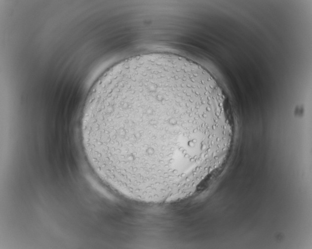 X0000113090814200910091256