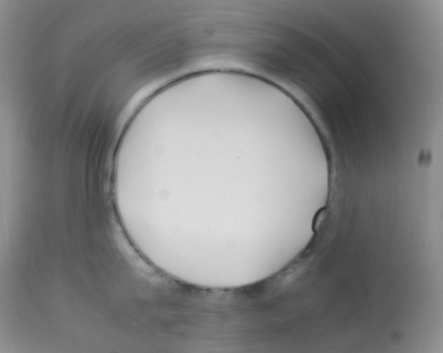 X0000113090815200910091256