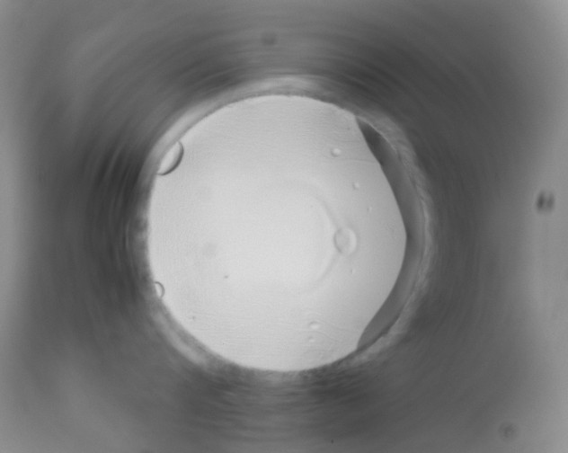 X0000113090816200910091256