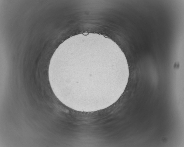 X0000113090817200910091255