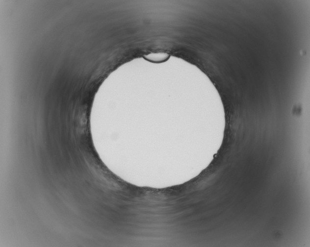 X0000113090818200910091255