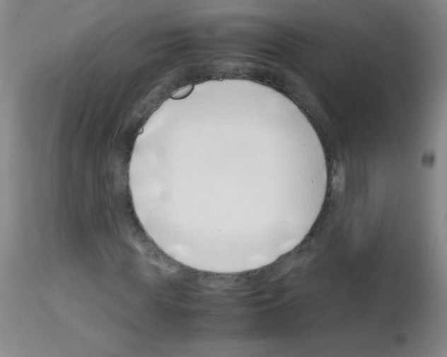 X0000113090819200910091255