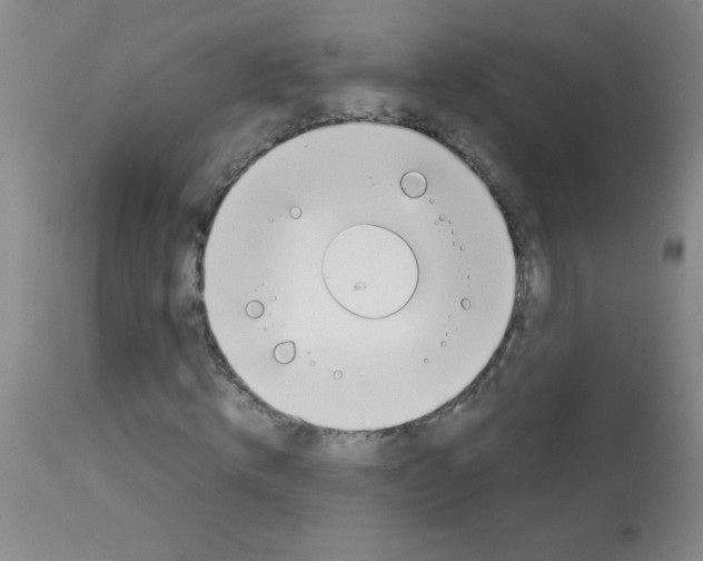 X0000113090820200910091255