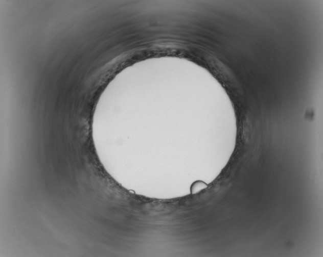 X0000113090821200910091255