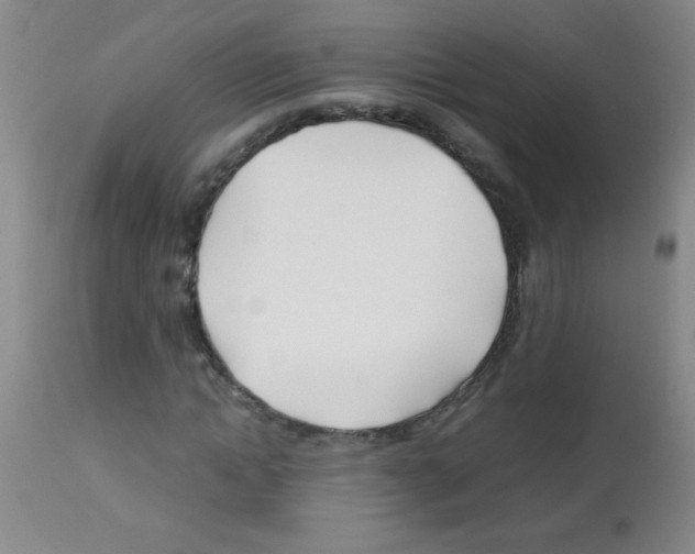 X0000113090822200910091255