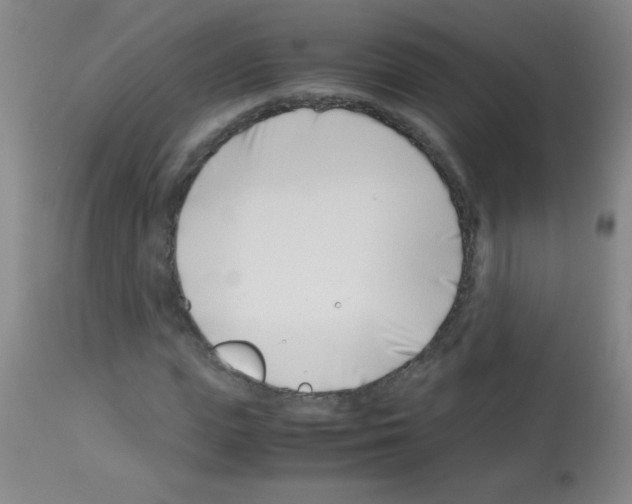 X0000113090823200910091255