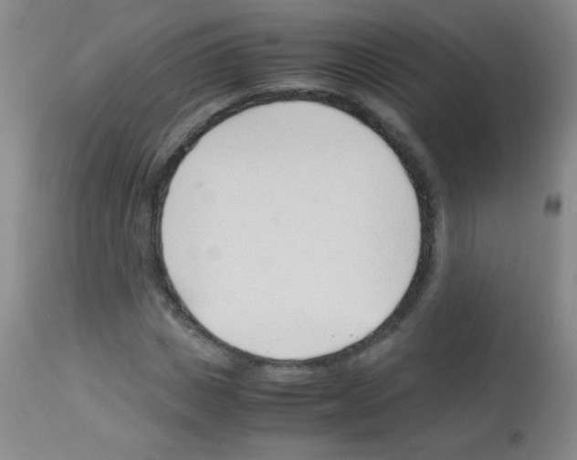 X0000113090825200910091255