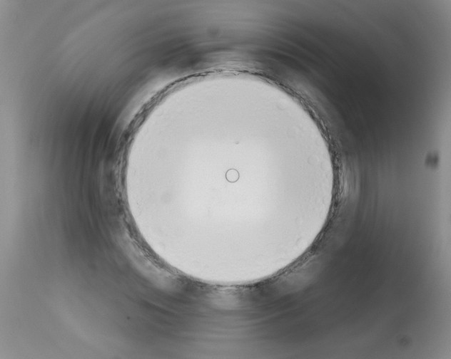X0000113090828200910091255
