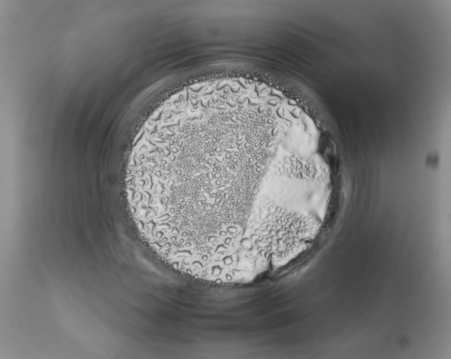 X0000113090829200910091255