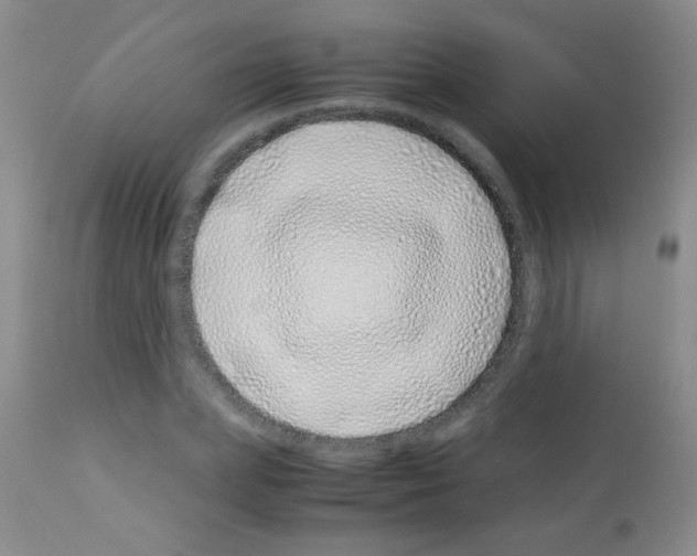 X0000113090831200910091255