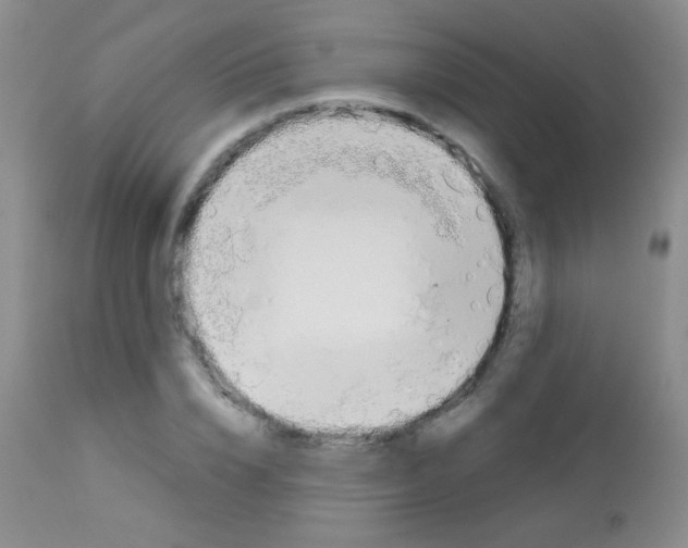 X0000113090832200910091255