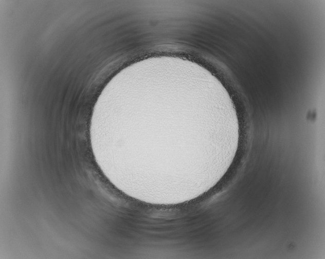X0000113090833200910091255