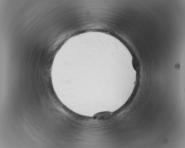 X0000113090834200910091255