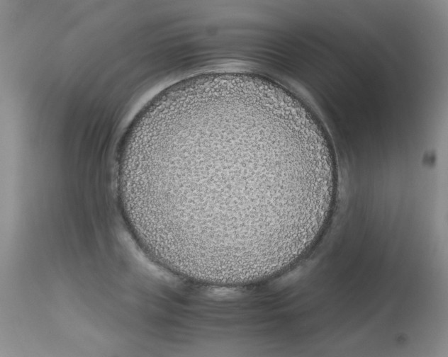 X0000113090835200910091255
