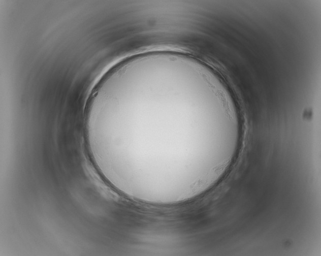 X0000113090836200910091255