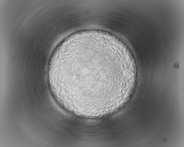 X0000113090839200910091255