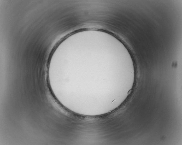 X0000113090840200910091255