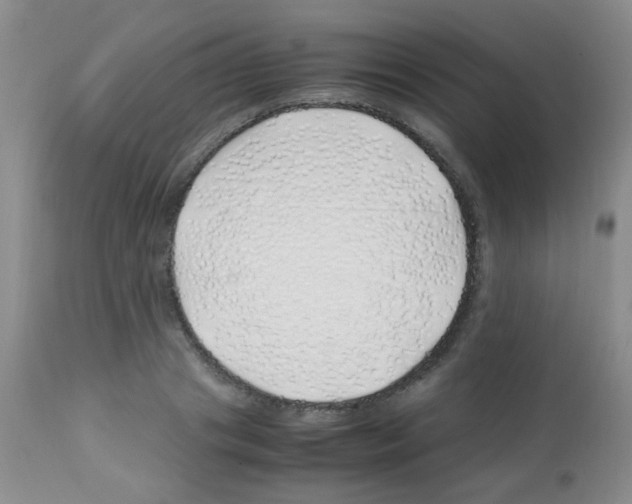 X0000113090841200910091255