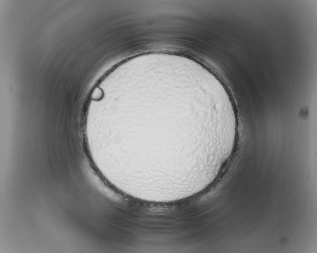 X0000113090843200910091255