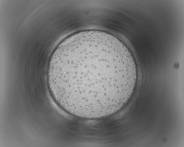 X0000113090847200910091255