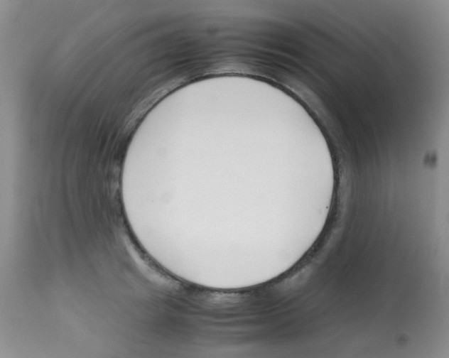 X0000113090849200910091255