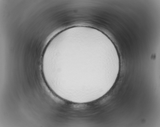 X0000113090853200910091255