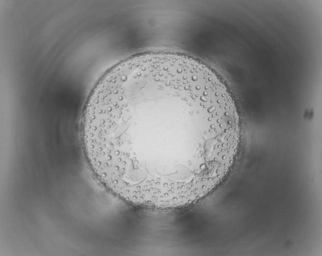 X0000113090856200910091255