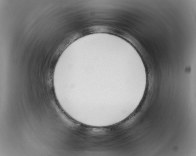 X0000113090857200910091255