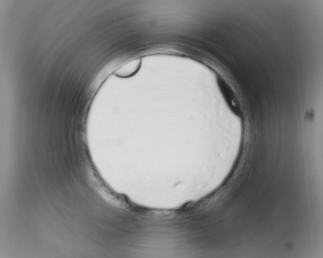X0000113090858200910091255