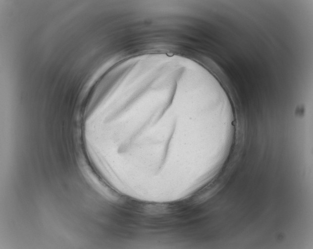 X0000113090859200910091255