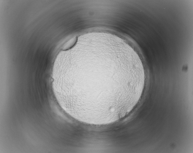 X0000113090860200910091255