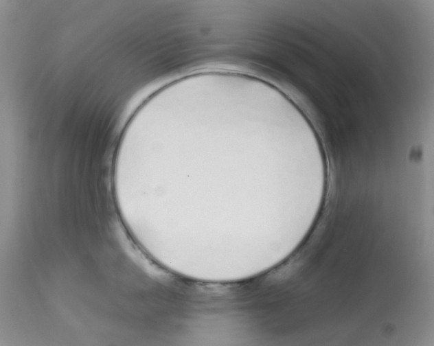 X0000113090862200910091255