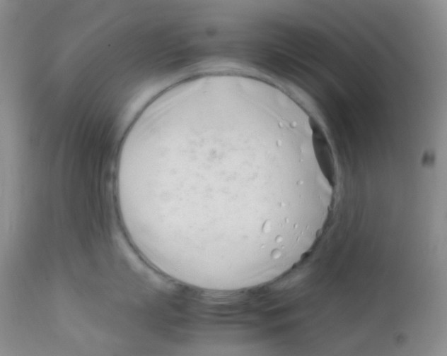 X0000113090863200910091255