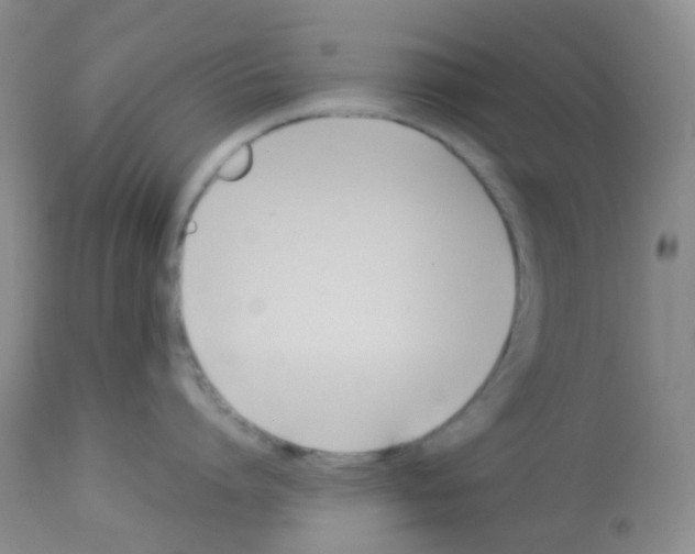X0000113090864200910091256