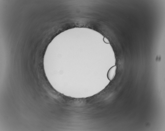 X0000113090865200910091255