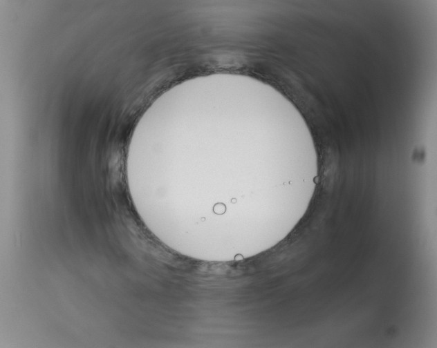 X0000113090866200910091255